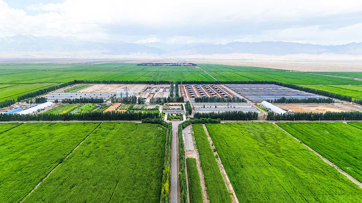 6912b64553dcf.jpg tup.jpg