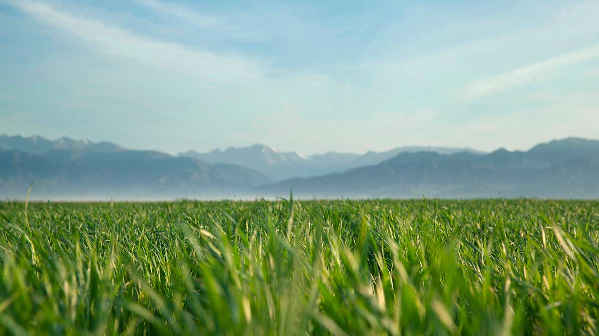 6912b86b24bbd.jpg cao.jpg