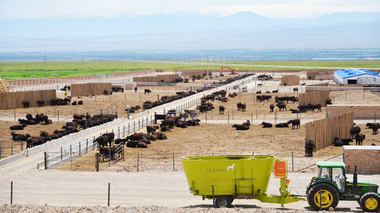 6912b8af38b71.jpg sil.jpg