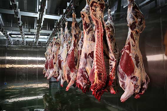 6913087518801.jpg 2.jpg