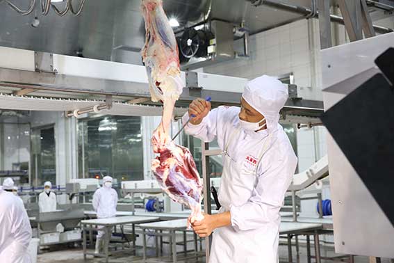 6913088d95f91.jpg 1.jpg